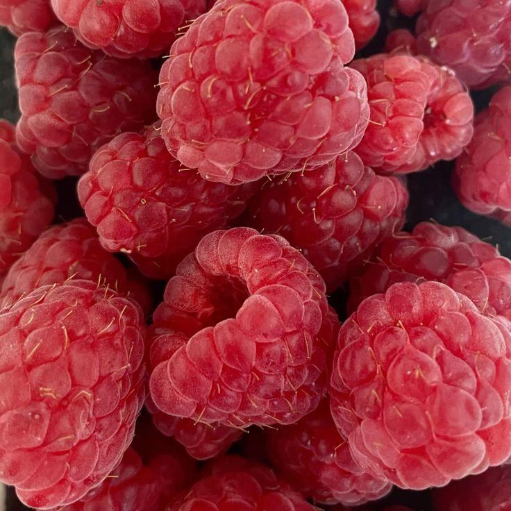 Garden Vibrance: Juicy Berries Galore Selection