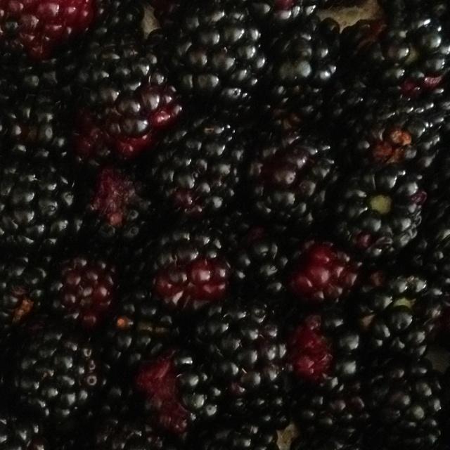 Sunny Orchard Medley: Ripened Berry Fusion